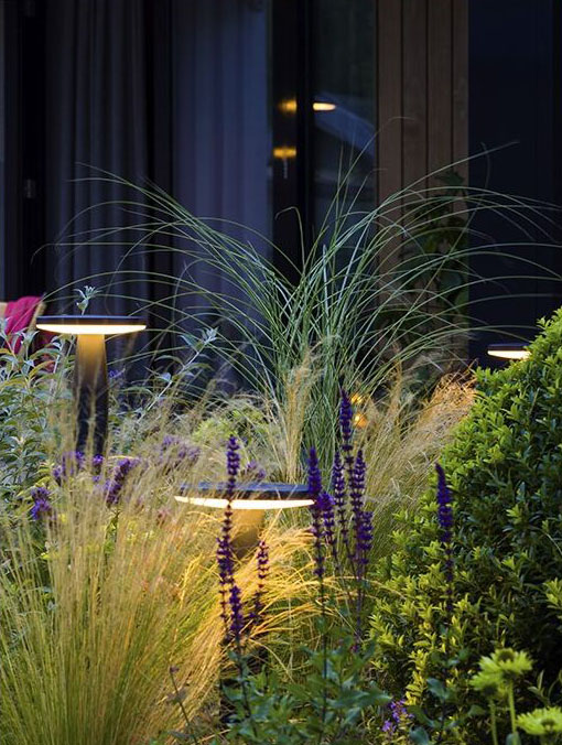 disc low path 12V Bollard light installed in garden.