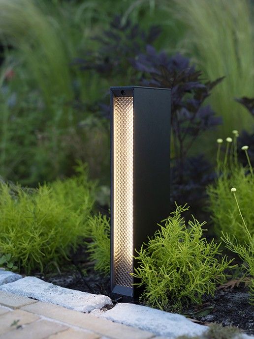 Evo low path 12V Bollard light installed along walkway.