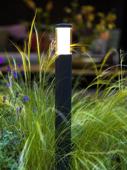 Liv path 12V Bollard light installed in garden grasses.
