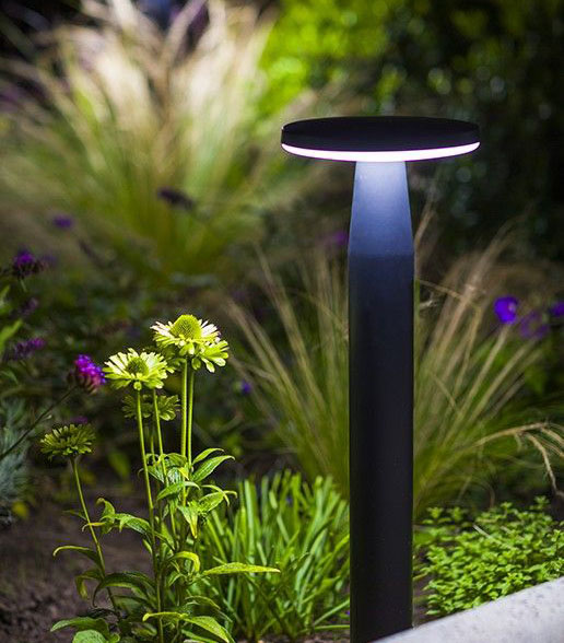 In-Lite disk bollard lighting up daisies in garden bed