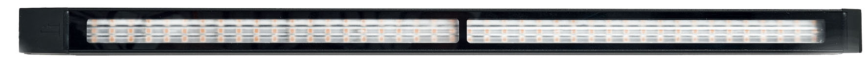 Evo flood light, front view