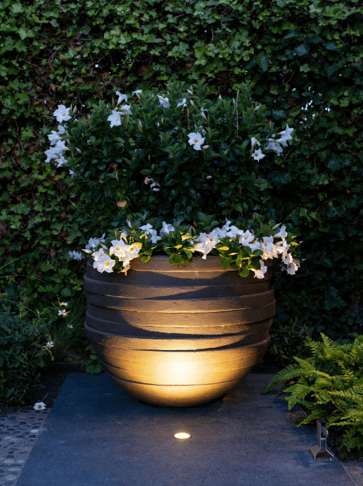 luna recessed light illuminating flower pot