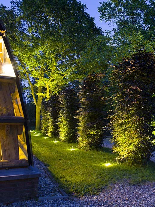 Luna illuminatingtrees