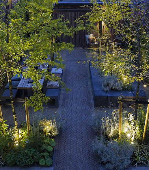 Scope spot light lighting up trees