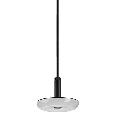 sway pendant spot light